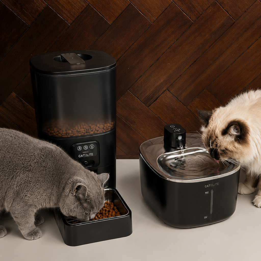 Bundel | Sync Enkele Voerautomaat & Stream Drinkfontein RVS