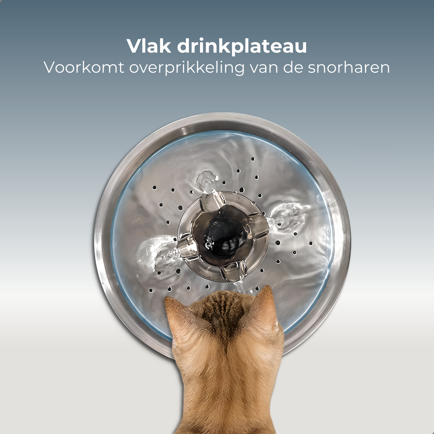 RVS Drinkfontein - Recht