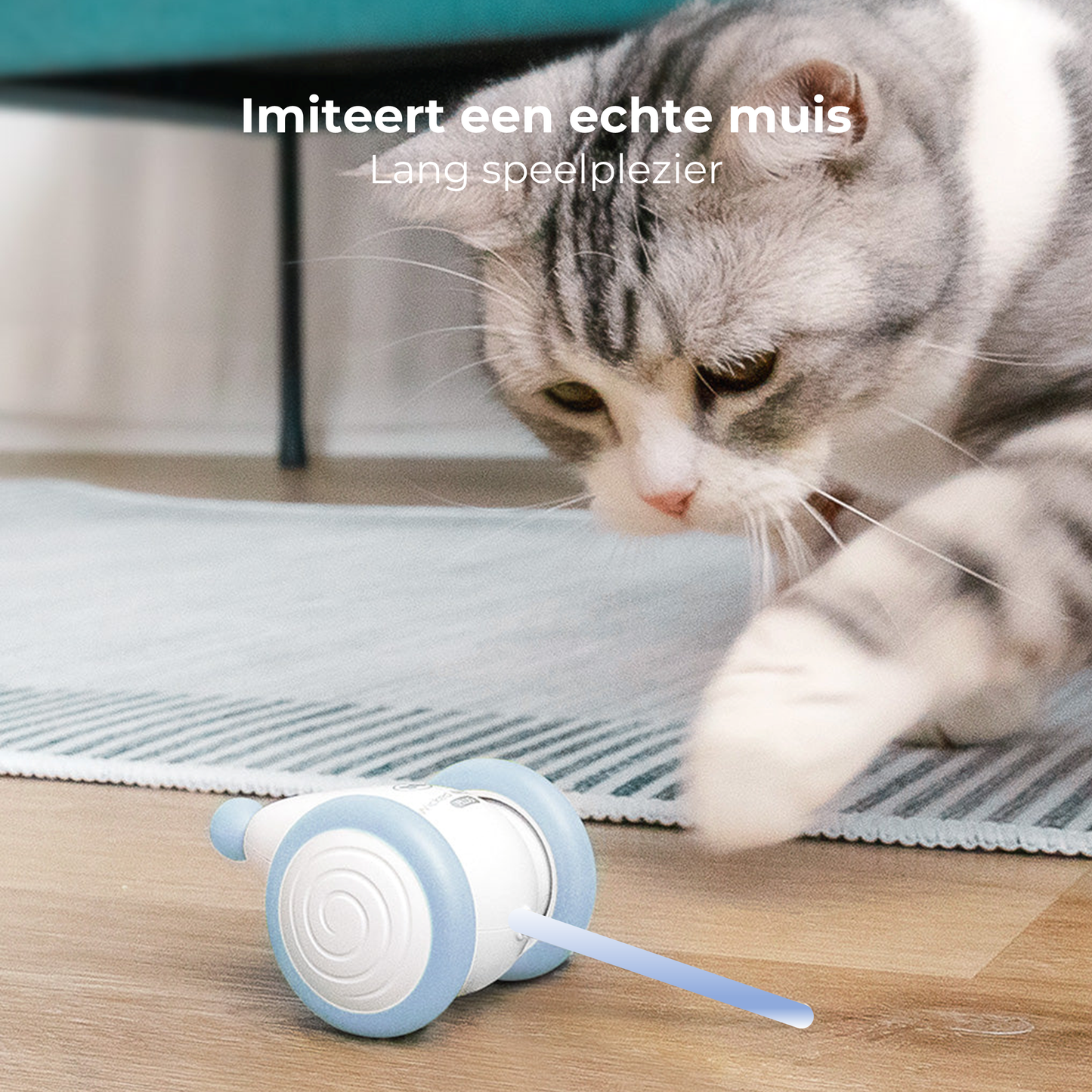 Wicked Mouse - Blauw
