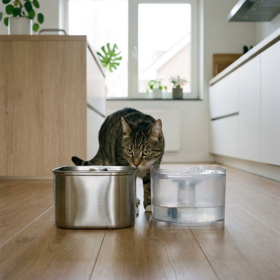 Op een lichte keukenvloer staan een RVS en plastic drinkfontein naast elkaar terwijl een nieuwsgierige kat eraan snuffelt in een modern Nederlands interieur.