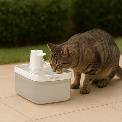 TEST Draadloze drinkfontein