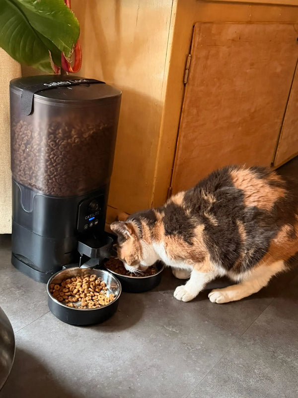 CatElite klantfoto