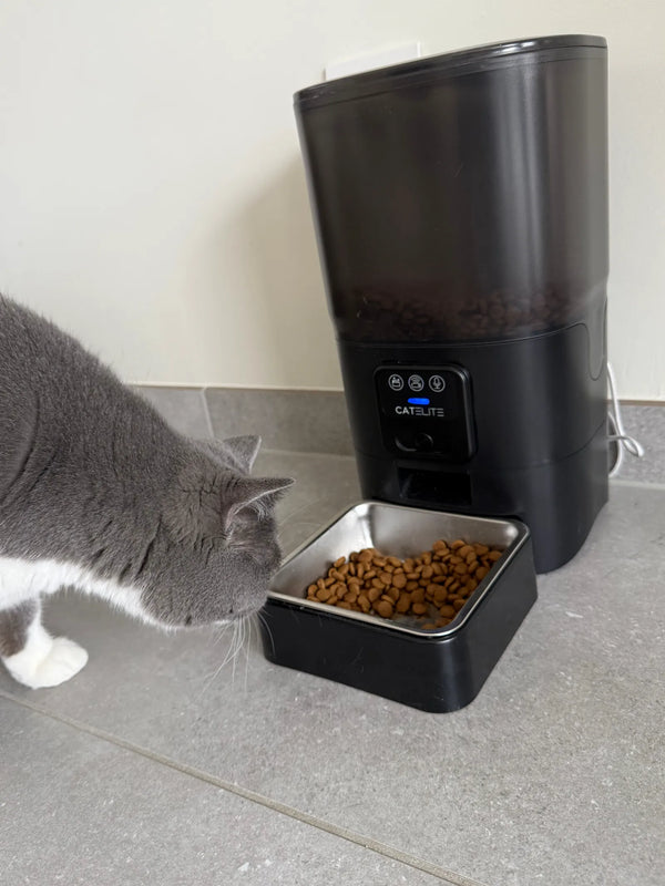 CatElite klantfoto