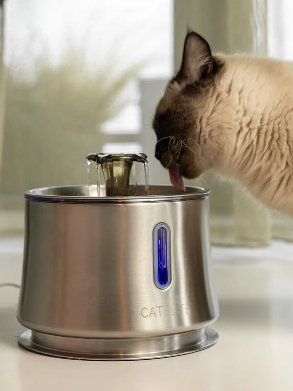 CatElite klantfoto