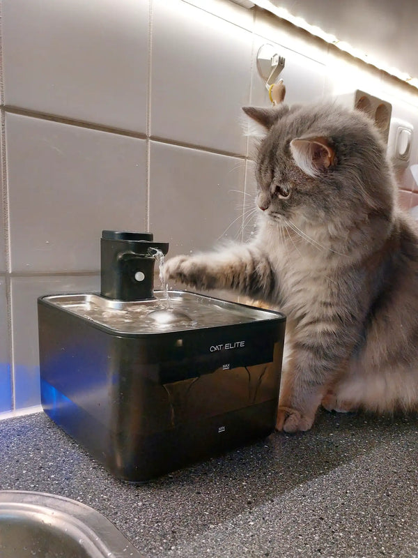 CatElite klantfoto