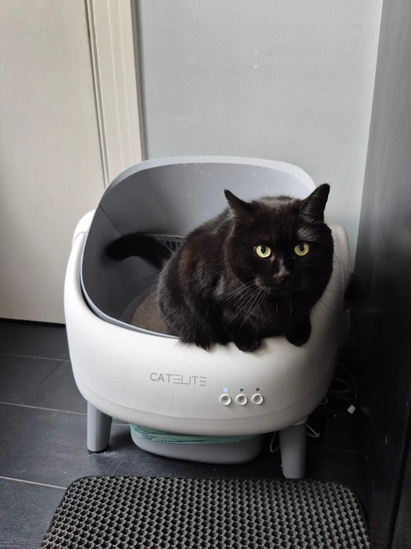 CatElite klantfoto