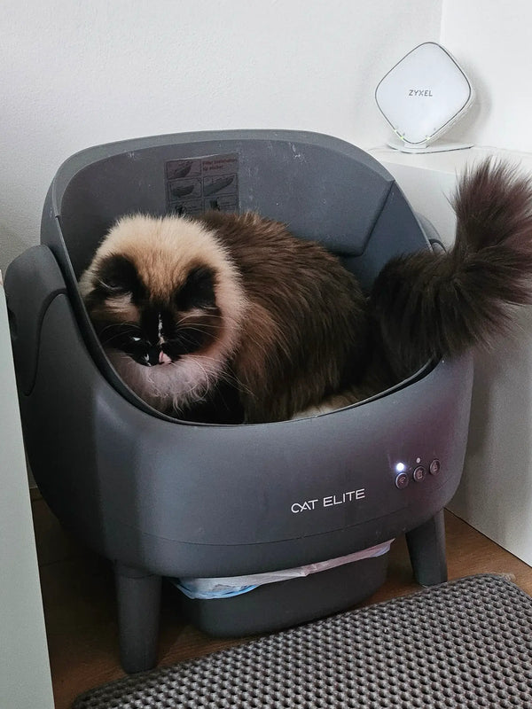 CatElite klantfoto