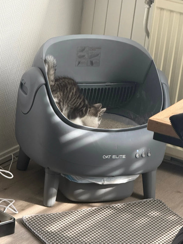 CatElite klantfoto