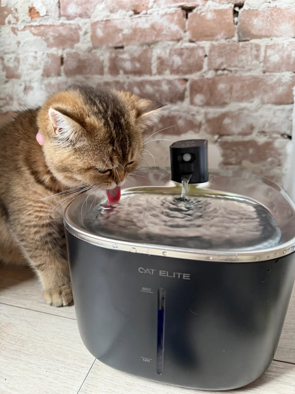 CatElite klantfoto
