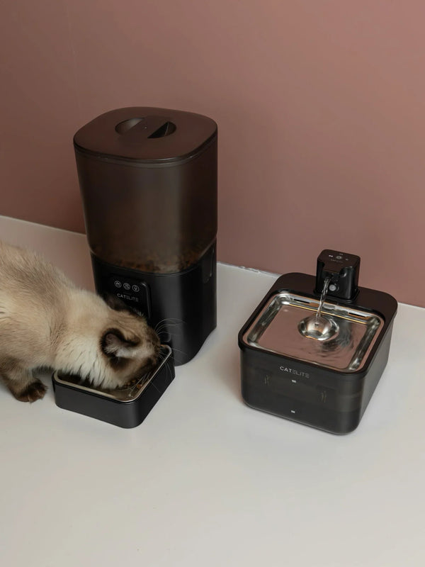 CatElite klantfoto