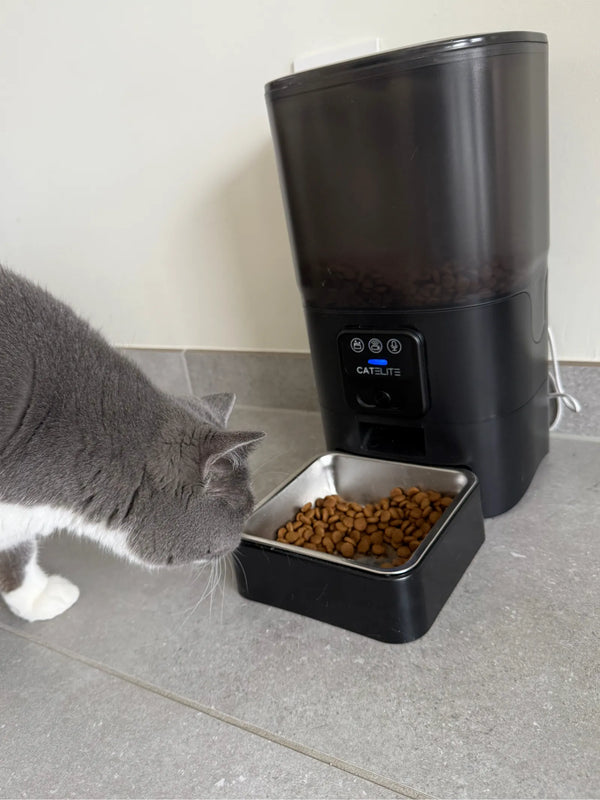 CatElite klantfoto