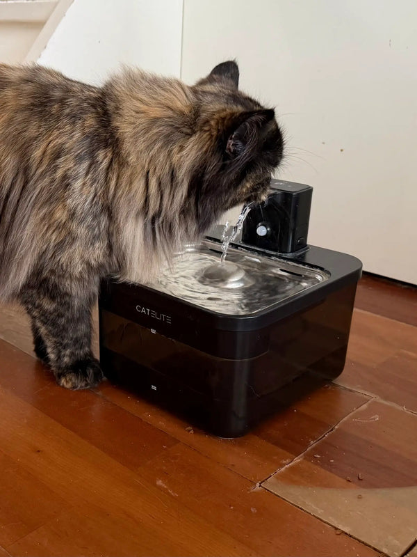 CatElite klantfoto