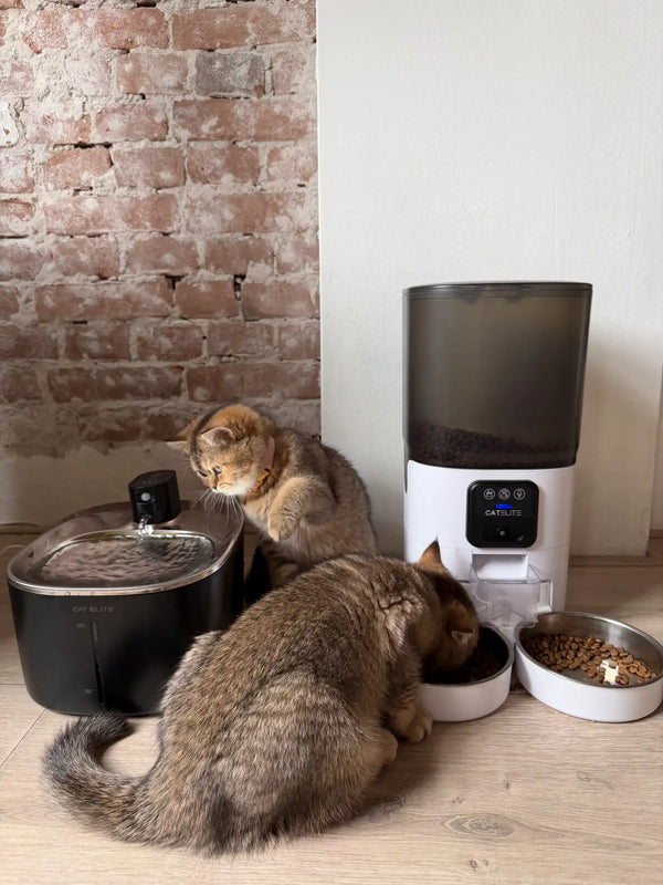 CatElite klantfoto