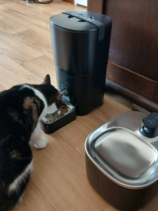 CatElite klantfoto