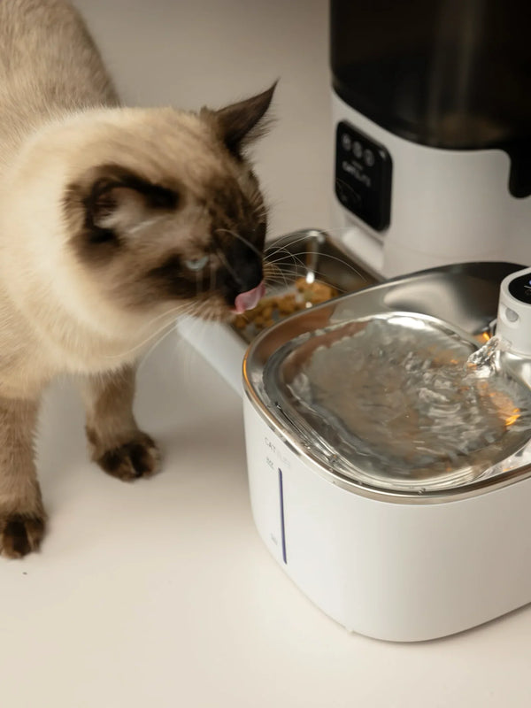 CatElite klantfoto