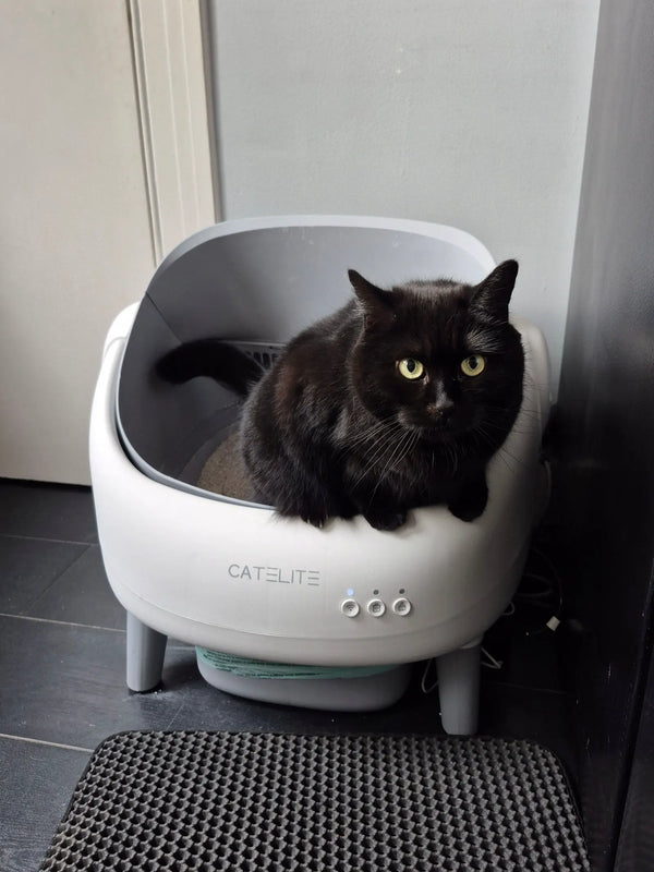 CatElite klantfoto
