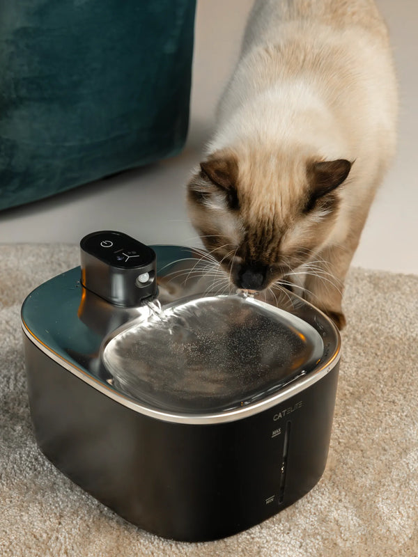CatElite klantfoto