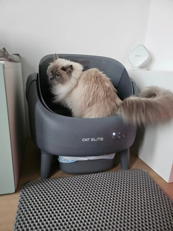 CatElite klantfoto