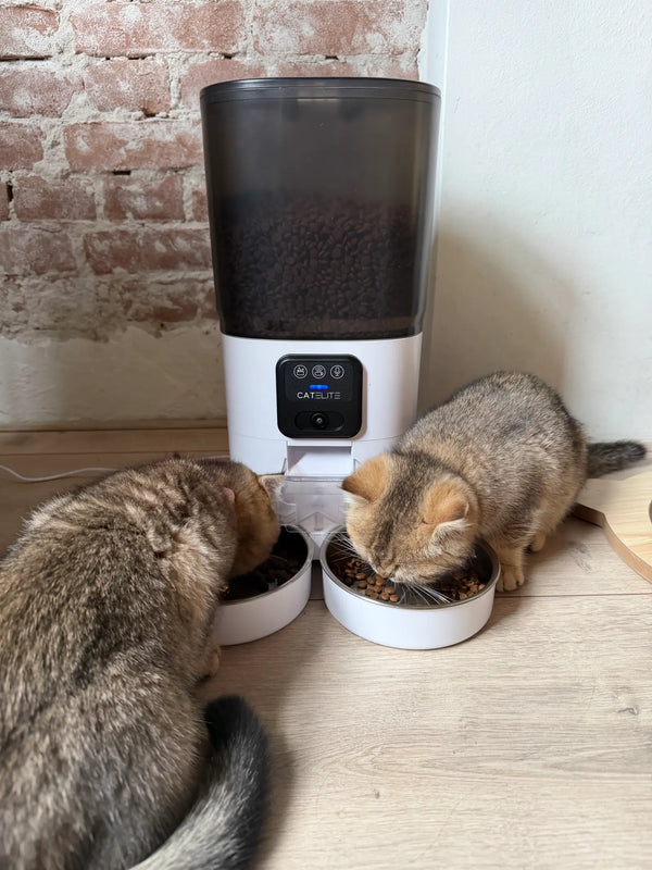 CatElite klantfoto