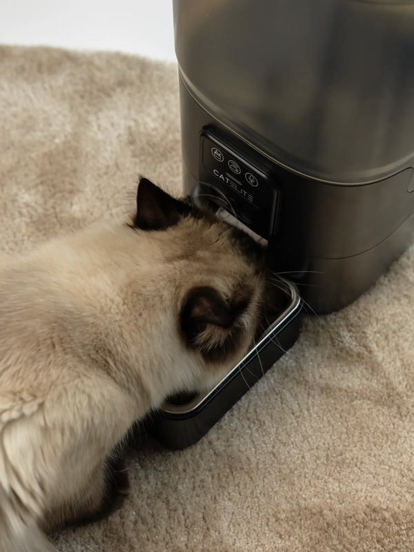 CatElite klantfoto