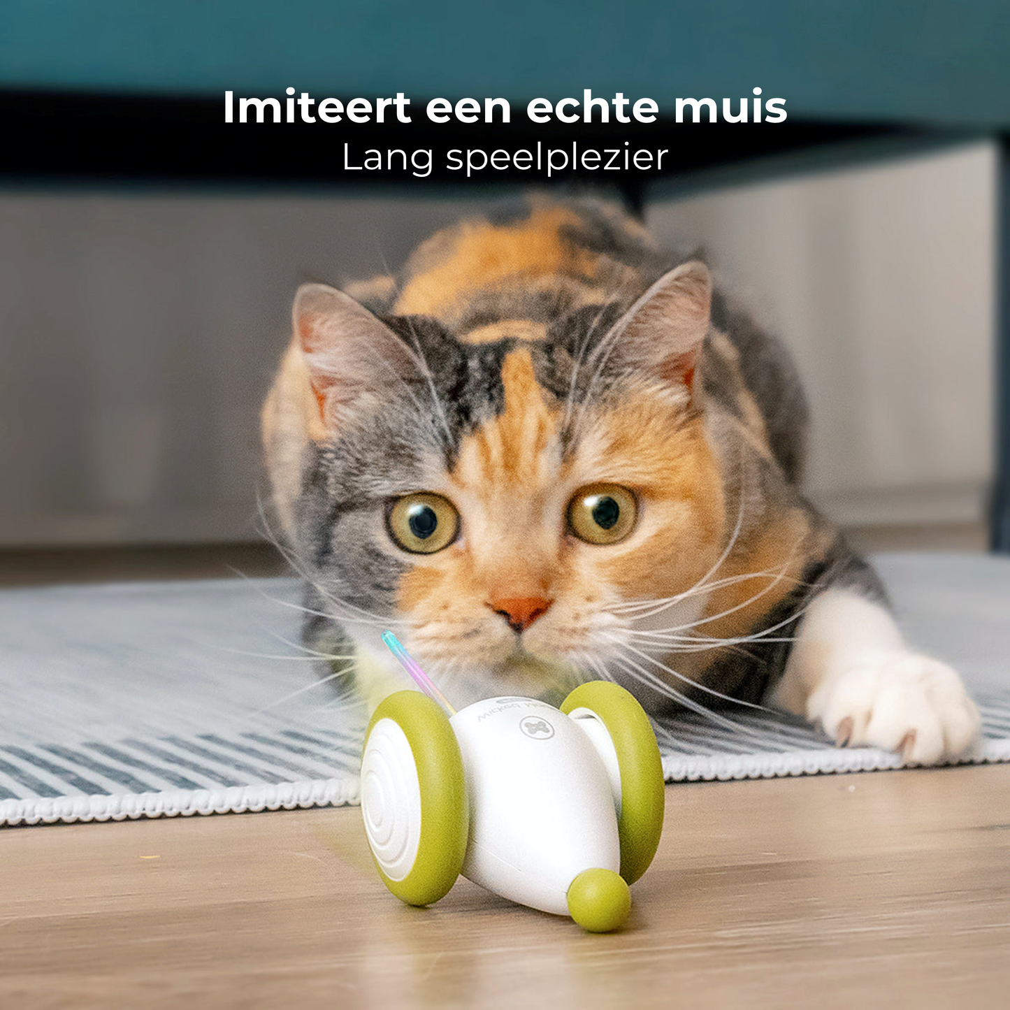 Wicked Mouse - Groen